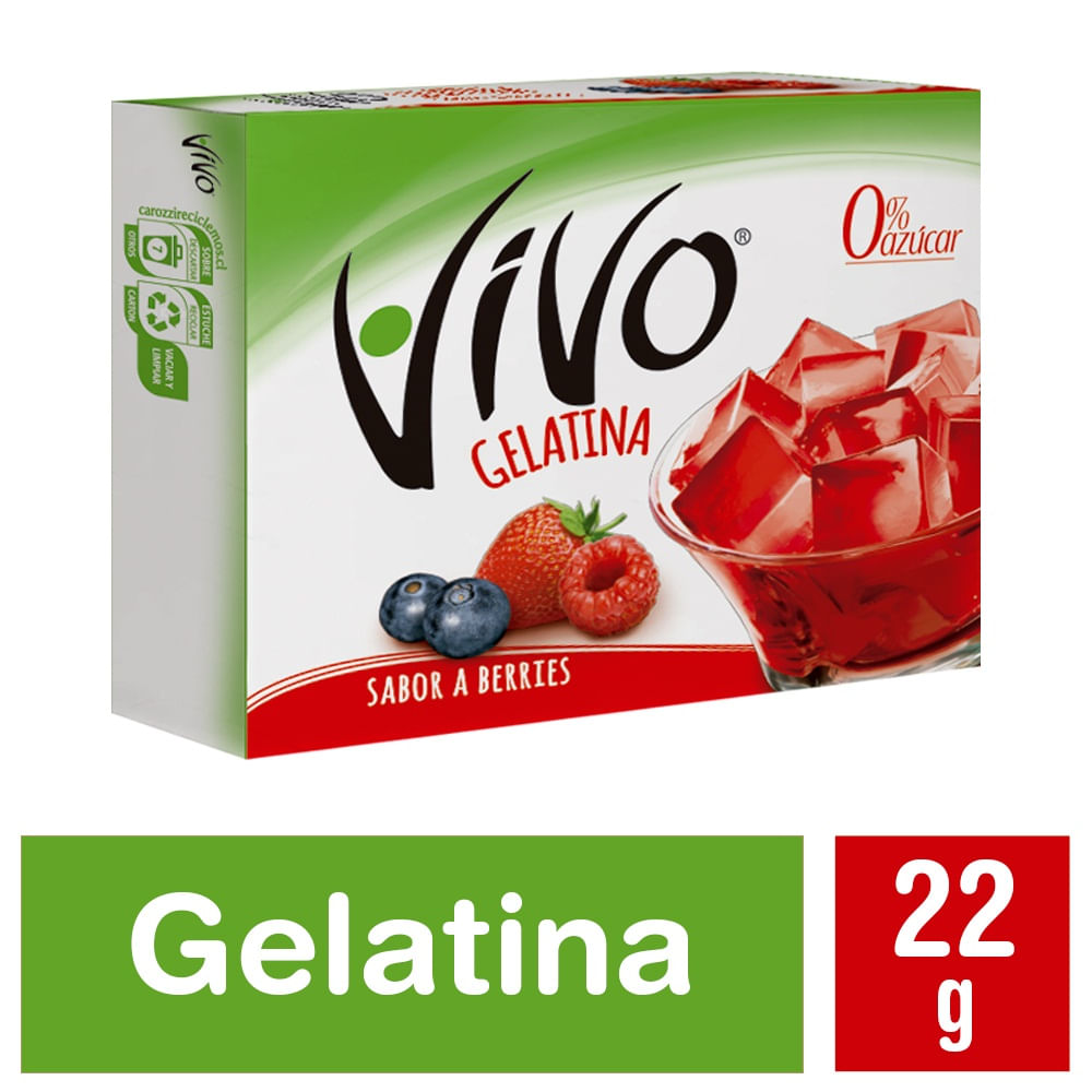 GELATINA VIVO SABOR BERRIES